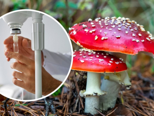 Фото Криворізького міського відділу лабораторних досліджень