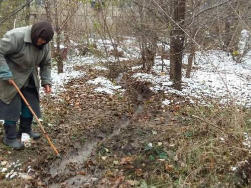 Жители Кривого Рога жалуются, что вода уже месяц затапливает их погреба (фотофакт)