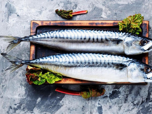 Скумбрія свіжа, готова до приготування на дошці з зеленню - фото з відкритих джерел