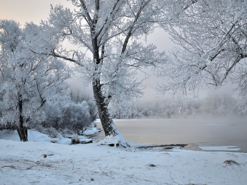 Фото ілюстративне з відкритих джерел     