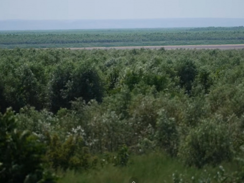 Скриншот відео