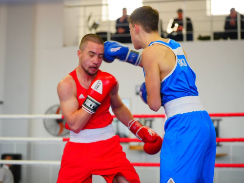 Фото Федерації боксу України