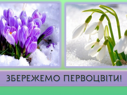 Фото з відкритих джерел