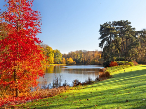 Фото з відкритих джерел  