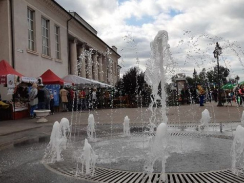 ТОП-новости Кривого Рога: Хатико три дня ждет хозяина, избиение пожилых людей, облитое авто кислотой 