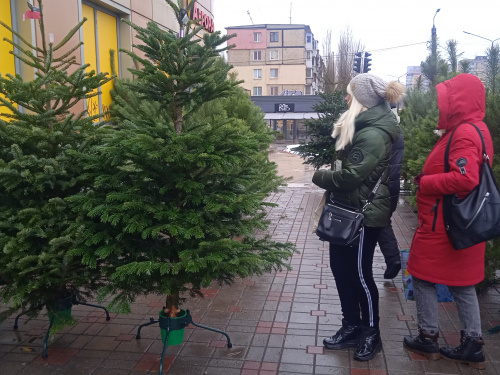 Фото krivbass.city