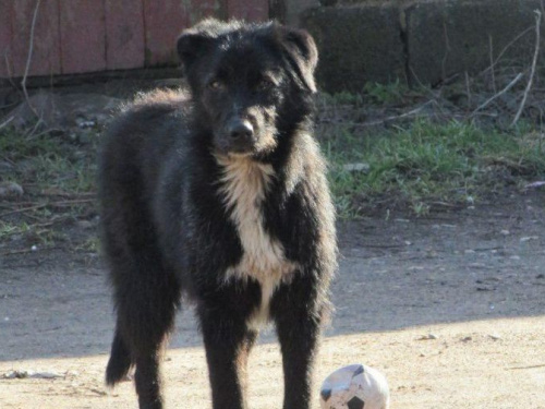 Спасатели Днепропетровщины объявили о начале масштабной благотворительной акции