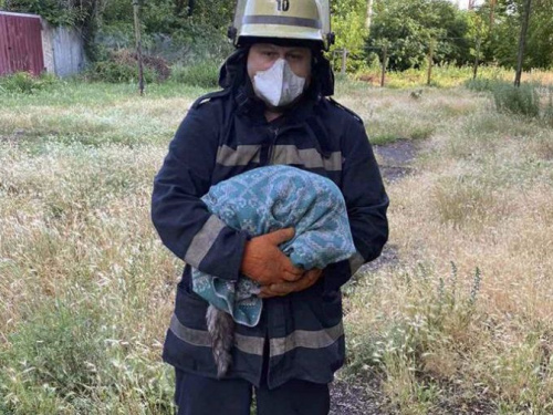 Фото пресс-службы ГСЧС Днепропетровской области