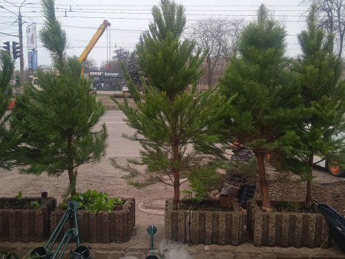 Фото krivbass.city