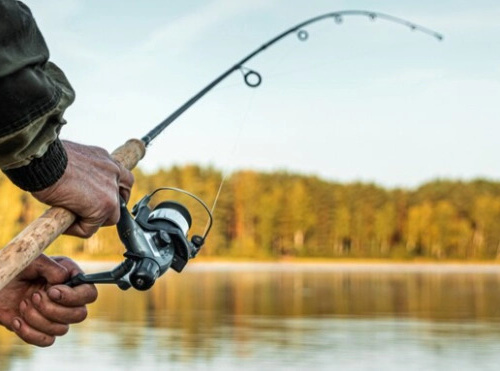 Фото з відкритих джерел 