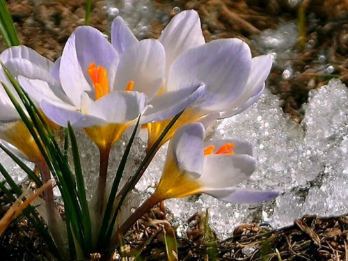 Фото з відкритих джерел