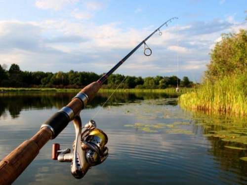 Фото з відкритих джерел
