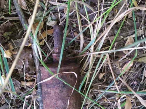 В Криворожском районе мужчина искал металл, а нашел гранату (фото)