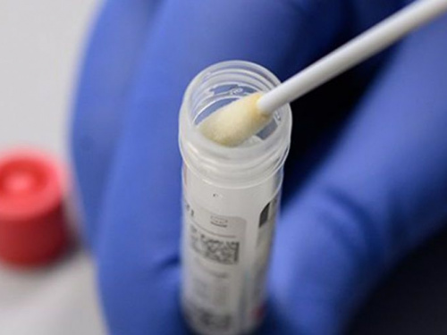 Фото из сети Интернет