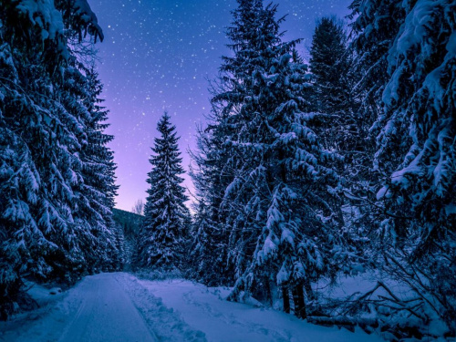 Фото з відкритих джерел      