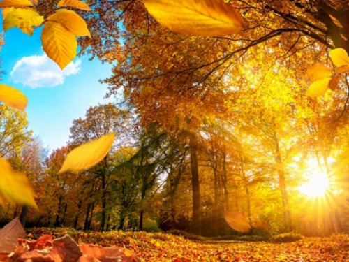 Прогноз погоди на вересень в Україні - фото ілюстративне з відкритих джерел 