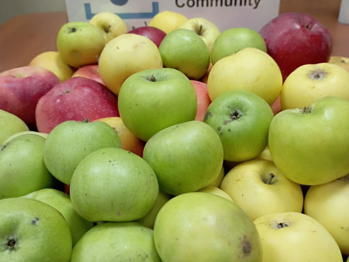 Фото Kryvyi Rih Volunteer Community