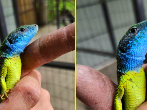 Фото Facebook-спільноти "Мій Дніпро"