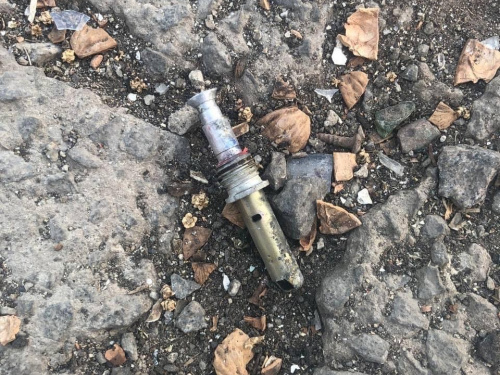 Поліція попереджає: у Кривому Розі діти знайшли небезпечний боєприпас у лісосмузі