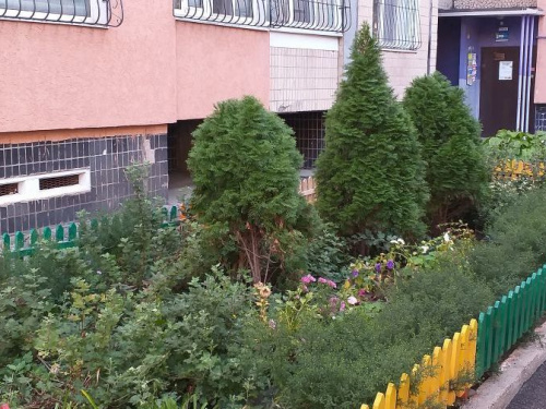 Новый конкурс «Зеленого центра Метинвест» объединил несколько тысяч криворожан