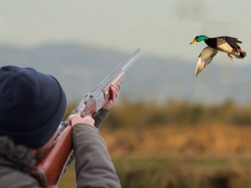 Охотникам Кривого Рога напомнили о правилах безопасности на охоте