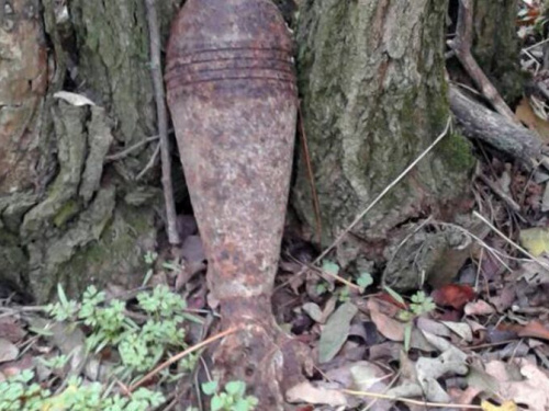 В селе под Кривым Рогом обнаружили минометную мину