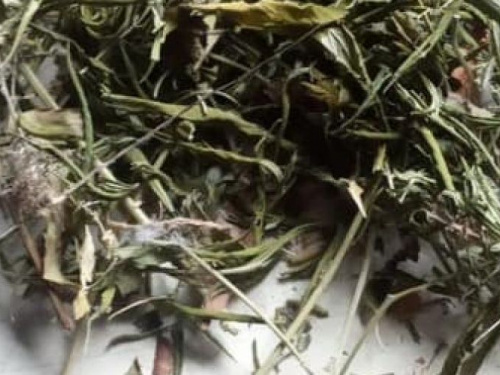 фото пресслужби КВ Нацполіції