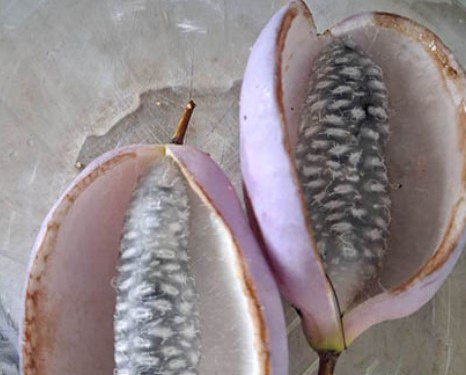 фото Вікторії Тротнер