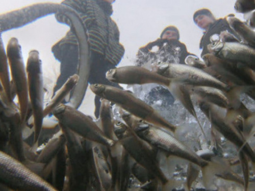 Фото з відкритих джерел