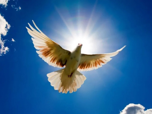 Благовіщення 25 березня: підготовка до свята та важливі заборони - фото з відкритих джерел