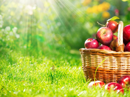 Серпень без поблажок: як працюємо і що святкуємо у 2025 році - фото з відкритих джерел