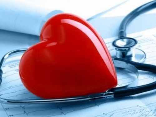 Успеть спасти: в Кривом Роге за год через программу «СТОП-инфаркт» прошли почти 250 горожан