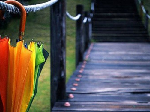 Без зонтика не обойтись: какой будет погода в Кривом Роге 