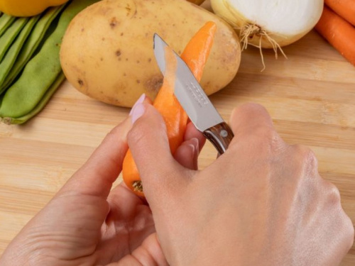 Три головні табу при варінні бульйону: поради експертів - фото з відкритих джерел