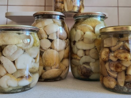 У Кривому Розі чоловік отруївся грибами: медики закликають бути обережними