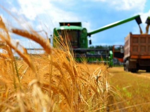Україна за два кроки від угоди з рф щодо експорту зерна, - Кулеба