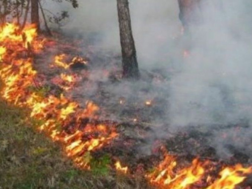В Кривом Роге объявлено штормовое предупреждение: узнай, какой будет погода