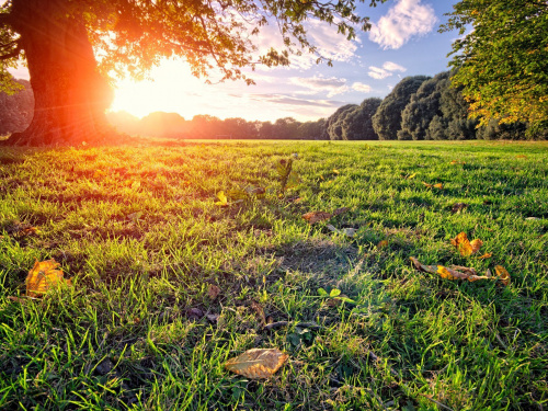 Фото з відкритих джерел       