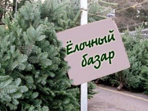 В Кривом Роге обнаружили продажу нелегальных елок