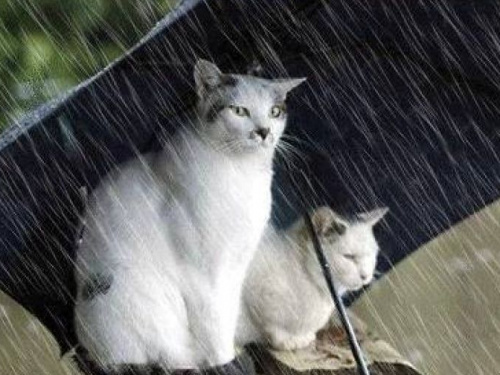 Ухудшение погодных условий: в Кривом Роге объявлено штормовое предупреждение