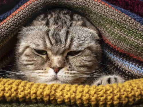 Фото з відкритих джерел