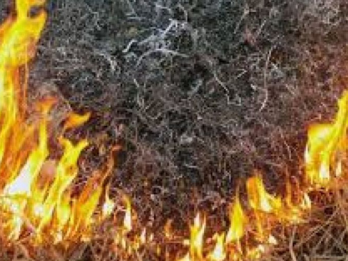 Чрезвычайная пожарная опасность: в Кривом Роге объявлено штормовое предупреждение