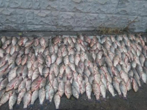 В Кривом Роге два рыбака попались на незаконном вылове рыбы