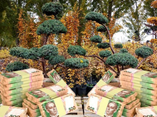 Фото з відкритих джерел