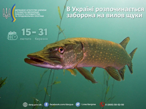 Фото Дніпропетровський рибоохоронний патруль