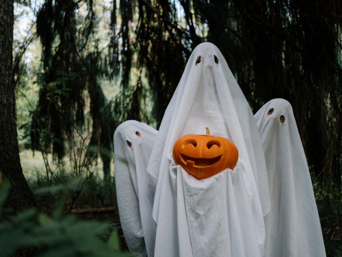 Фото з відкритих джерел 