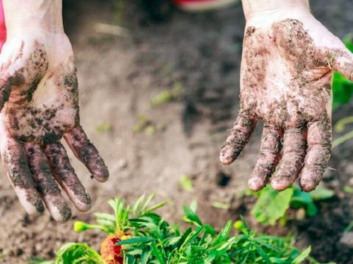Не можете відмити руки після робіт на городі? У нас є дієві способи