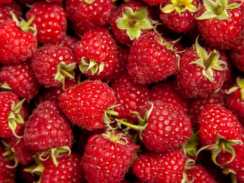 Зображення від KamranAydinov на Freepik