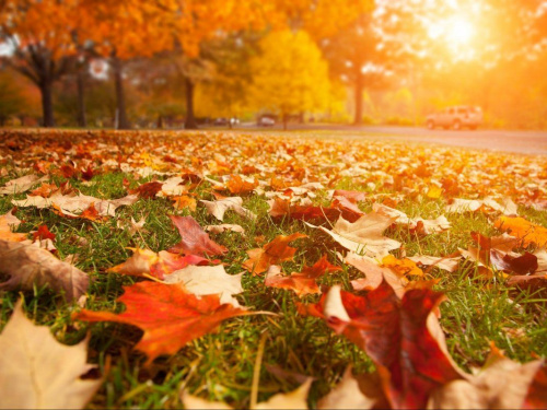 Погода на тиждень - фото ілюстративне з відкритих джерел 