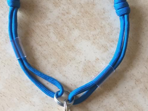 В Кривом Роге предлагают регистрировать животных